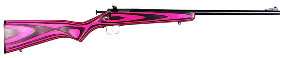 Crickett Youth 22 LR Bolt 16.12" 1RD KSA2225