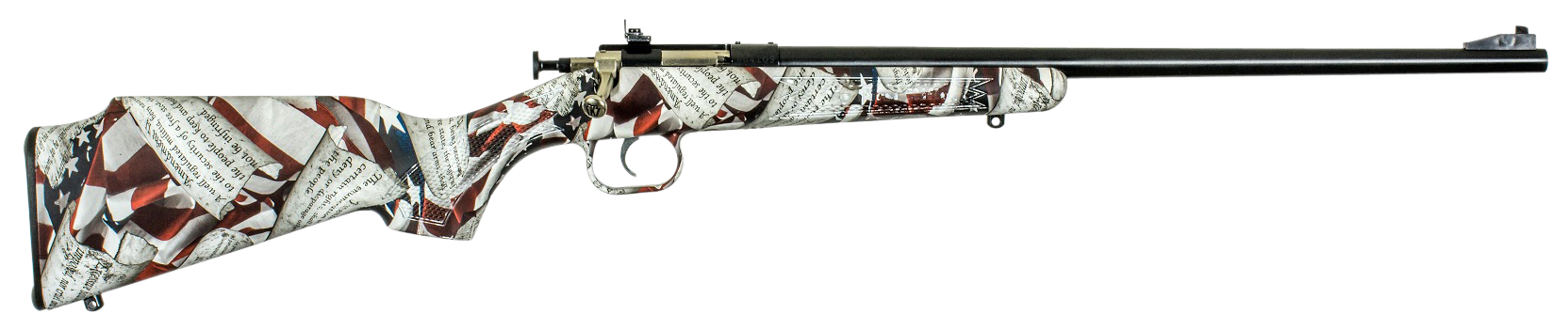 Crickett Youth 22 LR Bolt 16.12" 1RD KSA2168