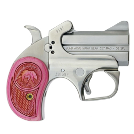 Bond Arms Mama Bear .357 Magnum/.38 Special Derringer 2.5
