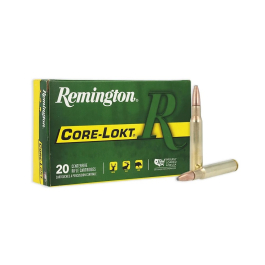 Remington Core-Lokt .30-06 Springfield180GR PSP Ammunition 20RD 27828