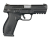 Ruger American Pistol 9mm 17rd 4.2