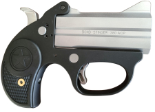 Bond Arms Stinger .380ACP  Derringer 3
